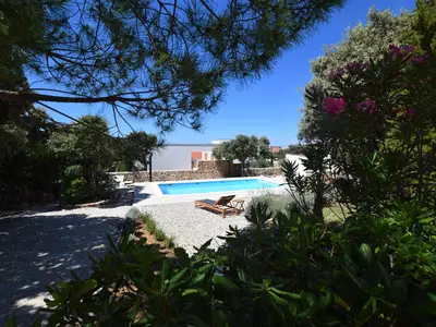 ViewSummer