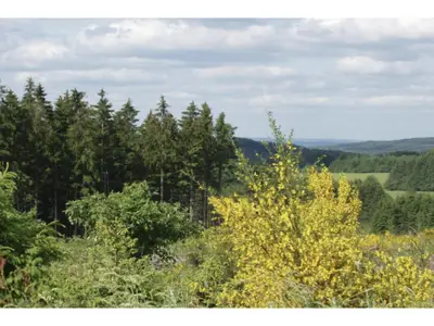 Direkte Umgebung [Sommer] (<1 km)