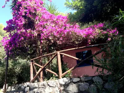 Ferienhaus für 4 Personen (70 m²) in Maratea 2/10