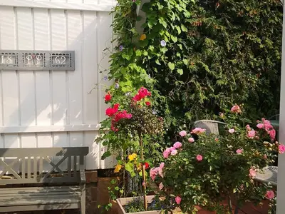 Ferienhaus für 5 Personen (120 m²) in Marburg 4/10