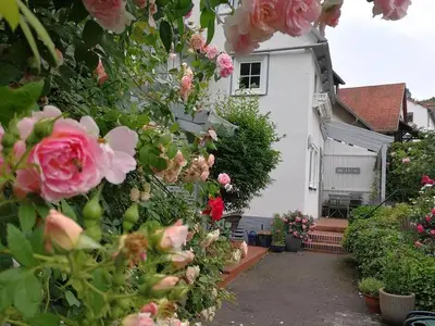Ferienhaus für 5 Personen (120 m²) in Marburg 10/10