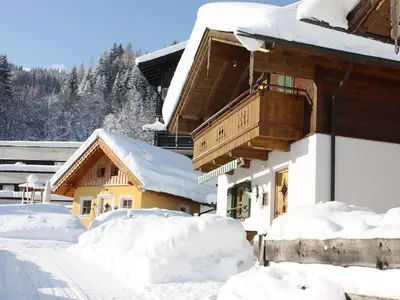 Ferienhaus für 4 Personen (70 m²) in Maria Alm am Steinernen Meer 2/10