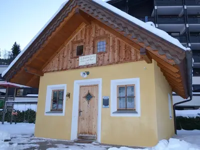 Ferienhaus für 4 Personen (70 m²) in Maria Alm am Steinernen Meer 6/10