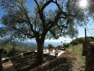 Ferienhaus für 4 Personen (60 m²) in Marina Di Camerota 5/10