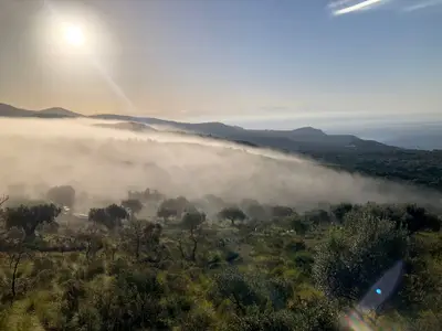 Ferienhaus für 8 Personen (80 m²) in Marina Di Camerota 1/10