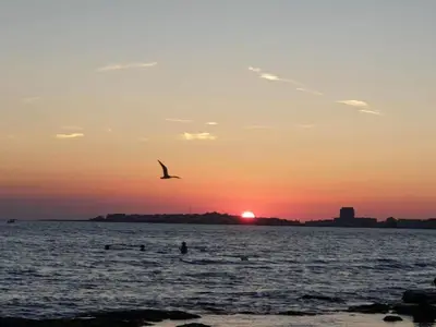 AreaSummer20KM