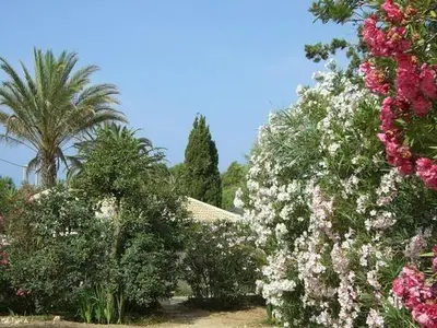 Gartenanlage