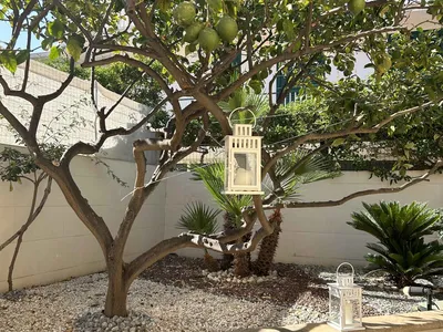 Ferienhaus für 6 Personen (85 m²) in Marina Di Modica 9/10