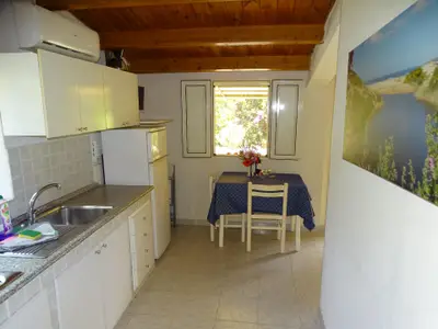 Kochbereich. Küche mit Gartenblick Ferienhaus