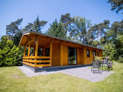 GardenSummer