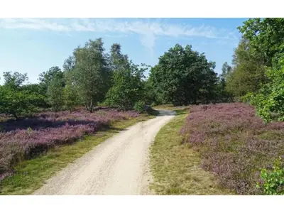 AreaSummer20KM