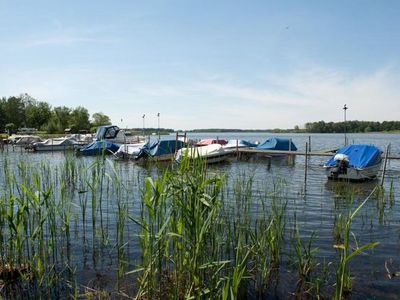 Ferienhaus für 4 Personen (40 m²) in Märkische Heide 3/10