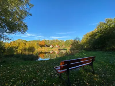Ferienhaus für 4 Personen (60 m²) in Marlow 10/10
