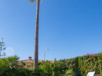 Ferienhaus für 8 Personen (250 m²) in Marratxí 5/10