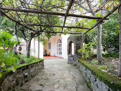 Bild 7