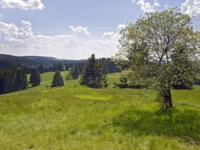 Ferienhaus für 2 Personen (25 m²) in Masserberg 6/10