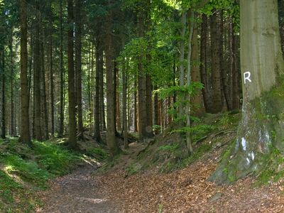 Ferienhaus für 2 Personen (25 m²) in Masserberg 9/10