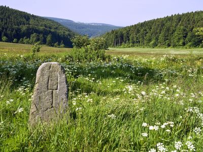 Ferienhaus für 2 Personen (25 m²) in Masserberg 10/10