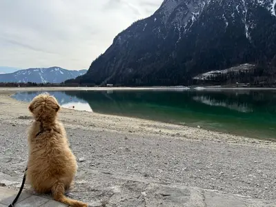 Ferienhaus für 6 Personen (100 m²) in Maurach am Achensee 5/10