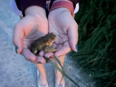 Ferienhaus für 6 Personen (100 m²) in Maurach am Achensee 5/10