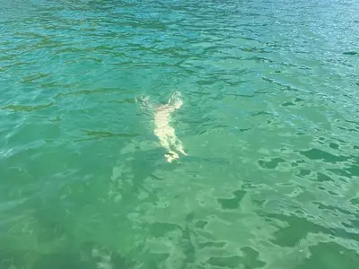 Ferienhaus für 6 Personen (100 m²) in Maurach am Achensee 8/10