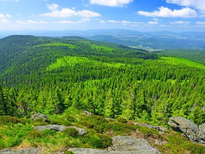 Bayerischer Wald