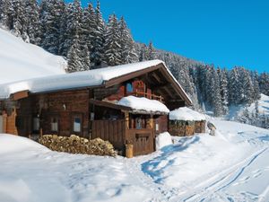 23846203-Ferienhaus-13-Mayrhofen-300x225-1