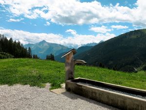 23846203-Ferienhaus-13-Mayrhofen-300x225-3