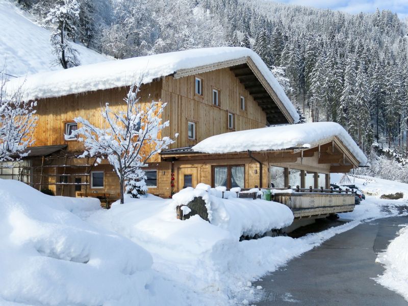 23846466-Ferienhaus-20-Mayrhofen-800x600-0