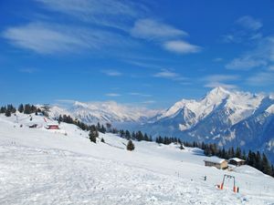 23846283-Ferienhaus-15-Mayrhofen-300x225-5