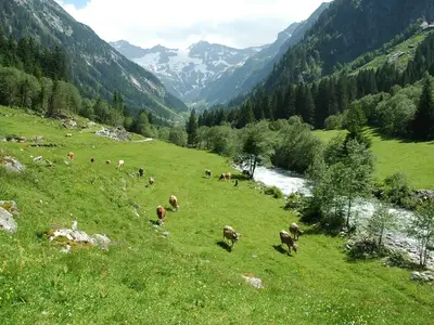 Ferienhaus für 5 Personen (60 m²) in Mayrhofen 5/7