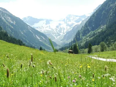 Ferienhaus für 5 Personen (60 m²) in Mayrhofen 6/7