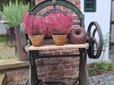 Innenhof-
