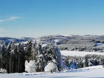 Winterlandschaft Sauerland