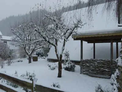 ViewWinter
