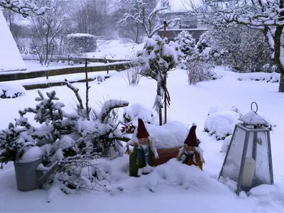 GardenWinter