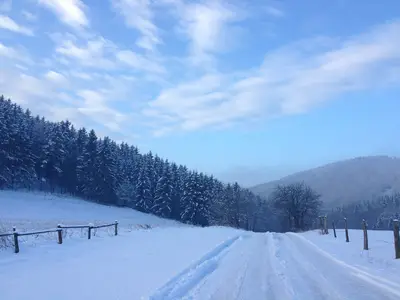 AreaWinter1KM