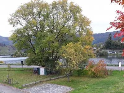 Moselansicht