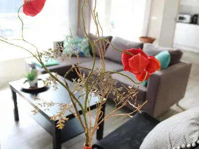 living-room