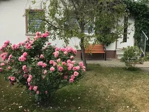 Ferienhaus für 2 Personen (45 m²) in Meisdorf