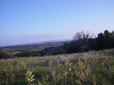 Aussicht