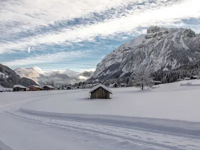 Ferienhaus für 8 Personen (170 m²) in Mellau 5/10