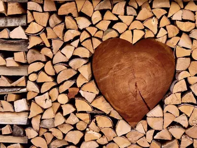 Ferienhaus für 6 Personen (75 m²) in Melsungen 5/10