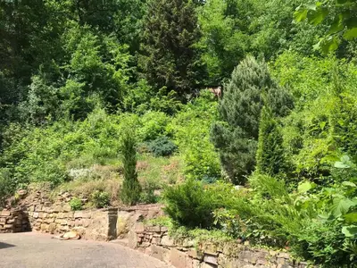 Ferienhaus für 6 Personen (75 m²) in Melsungen 3/10