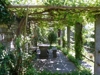 Bild 8