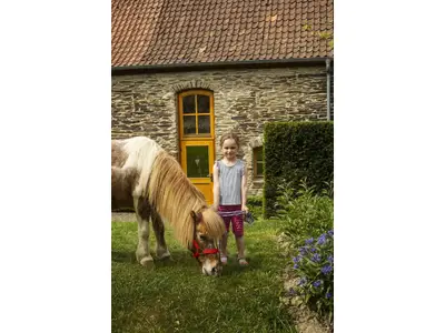 Ferienhaus für 2 Personen (30 m²) in Meschede 3/10