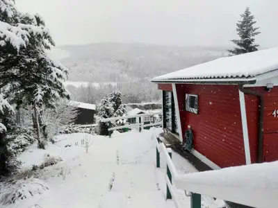 Ferienhaus für 4 Personen (42 m²) in Meschede 4/10