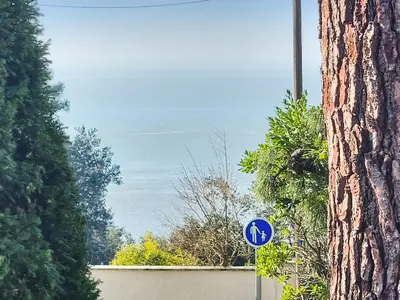 view-from-room