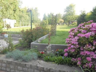 Blick auf den Garten