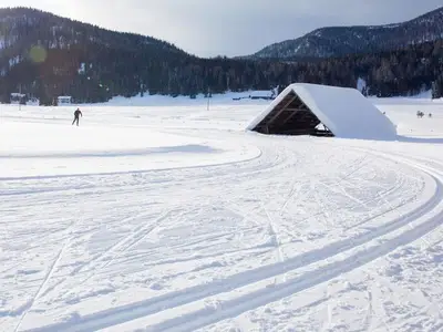 Ferienhaus für 5 Personen (100 m²) in Metnitz 8/10